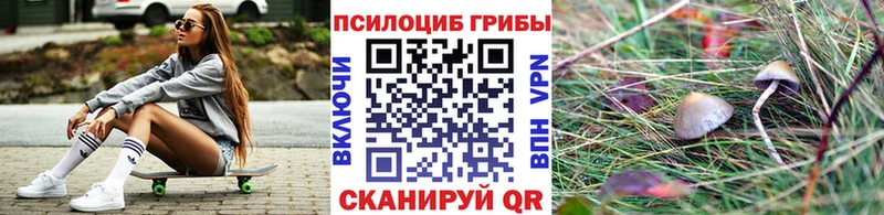 это клад  Щёкино  Псилоцибиновые грибы Cubensis 